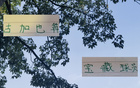 蔣內(nèi)傷，大連賽，馬艾誰得機？