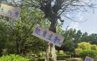 米內(nèi)羅金靴，申花奪冠，范志毅95年輝煌重現(xiàn)。