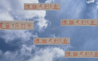 大魚浮頭，夏窗中超購人潮，申花南多，前海港奇塔。
