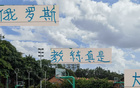 怕兄弟苦，憂其路虎。申花教練觀歐冠決。