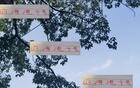 巴爾加斯助新東家保級，中超外援價值凸顯