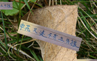 申花帥哥特謝拉、蔣圣龍未隨隊(duì)赴深圳。