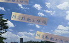 阿馬杜、朱辰杰能否上場？申花戰(zhàn)深圳，期待比賽！