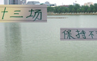 蘇亞雷斯不敗十三場，塞蒂恩更懂北京國安！