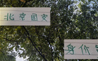 北京國安身價高，申花下滑，御林軍爭冠需策略。