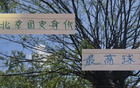 古加身價高，北京國安之驕，能否成海港奧斯卡？