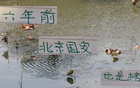 巧合？六年前北京國安領先，但奪冠非其。