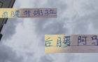 申花新組合，特謝拉+阿馬杜，下半程能否起飛？