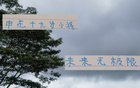申花新星19歲國腳，聯(lián)賽三球，超越米內(nèi)羅。