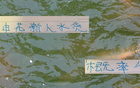 申花新星赤道幾內亞表現佳，張玉寧國足地位比肩，實力非水貨。