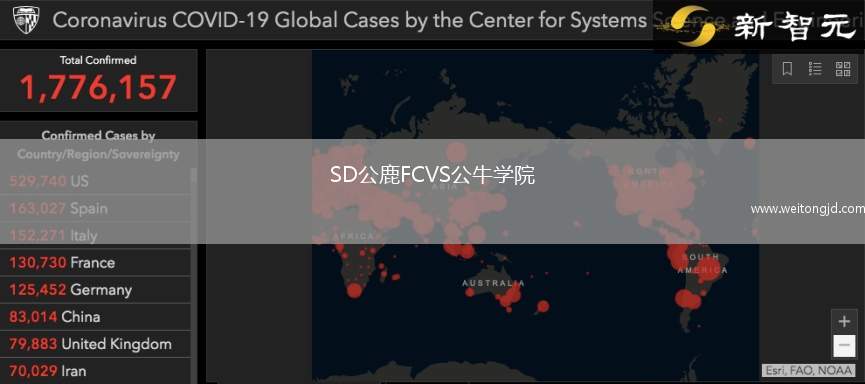 SD公鹿FCVS公牛學院