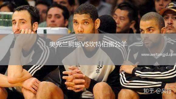 奧克蘭鱷蜥VS坎特伯雷公羊