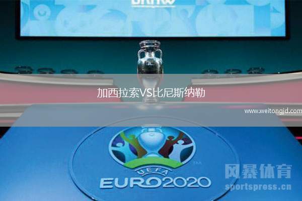 加西拉索VS比尼斯納勒