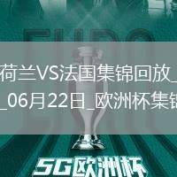06月22日歐洲杯小組賽D組第2輪荷蘭vs法國精彩片段