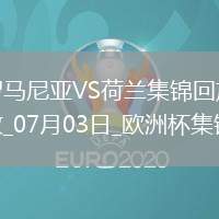 07月03日歐洲杯1/8決賽羅馬尼亞vs荷蘭進球視頻