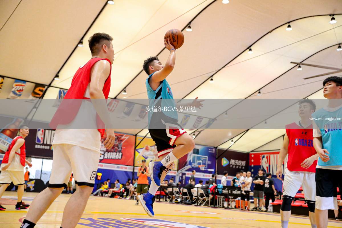 安道爾BCVS萊里達