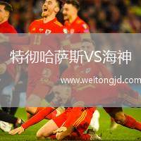 特徹哈薩斯VS海神