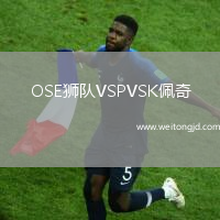 OSE獅隊VSPVSK佩奇