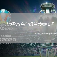 海德堡VS烏爾姆蘭蒂奧帕姆