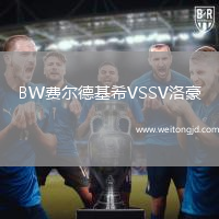 BW費(fèi)爾德基希VSSV洛豪