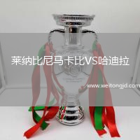 萊納比尼馬卡比VS哈迪拉