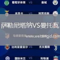 薩勒尼塔納VS曼托瓦