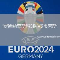 羅迪納莫斯科B隊VS韋萊斯