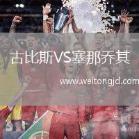 古比斯VS塞那喬其