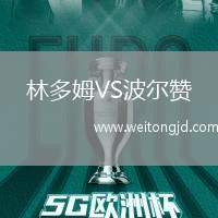 林多姆VS波爾贊