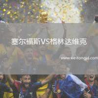 塞爾福斯VS格林達維克