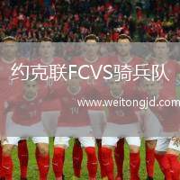 約克聯(lián)FCVS騎兵隊