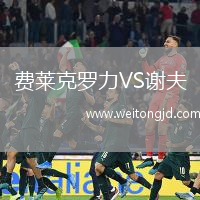 費萊克羅力VS謝夫