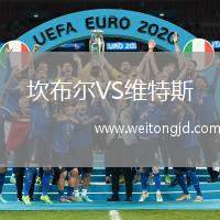 坎布爾VS維特斯