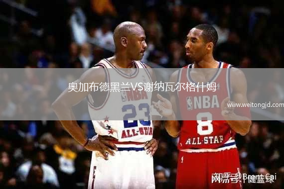 奧加布德黑蘭VS謝納瓦爾格什姆