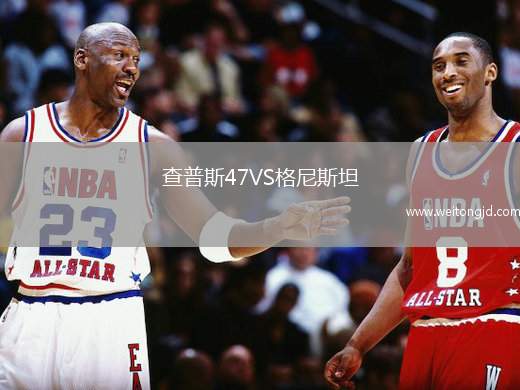查普斯47VS格尼斯坦