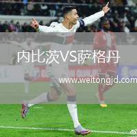 內比茨VS薩格丹