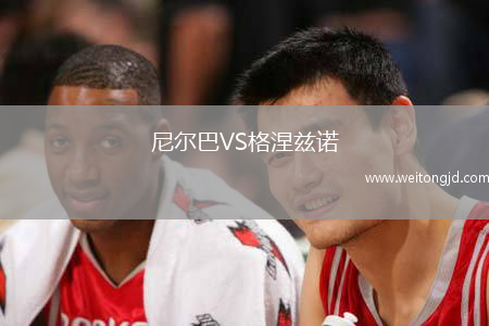 尼爾巴VS格涅茲諾