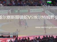 基爾塞斯眼鏡蛇VS埃爾特姆野貓