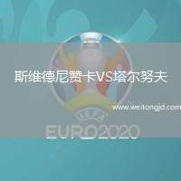 斯維德尼贊卡VS塔爾努夫