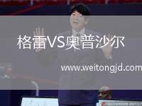 格雷VS奧普沙爾