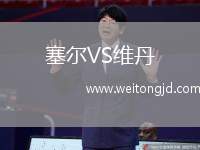 塞爾VS維丹
