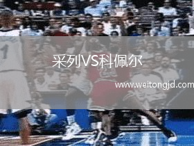 采列VS科佩爾