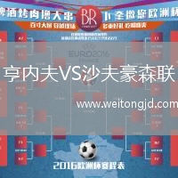 亨內夫VS沙夫豪森聯