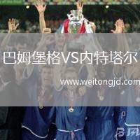 巴姆堡格VS內特塔爾
