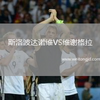 斯洛波達(dá)諾維VS維謝格拉