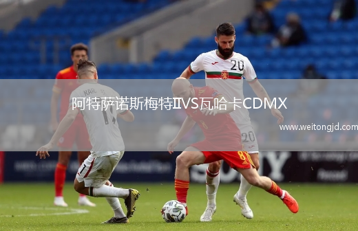 阿特薩諾斯梅特IIVS瓦哈卡CDMX