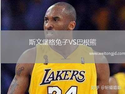 斯文堡格兔子VS巴根熊