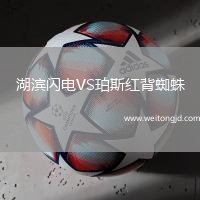 湖濱閃電VS珀斯紅背蜘蛛
