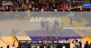 森利特VS沙拉