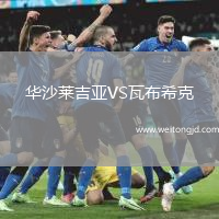 華沙萊吉亞VS瓦布希克